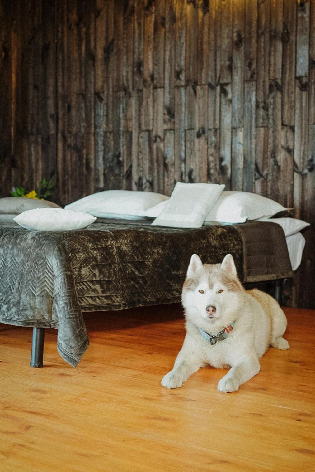Долина Хюгге Hotell Chornomors'ke  Eksteriør bilde